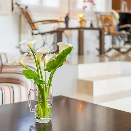 Вилла De Lujo Con Piscina, Jacuzzi, Jardin Y Terraza *